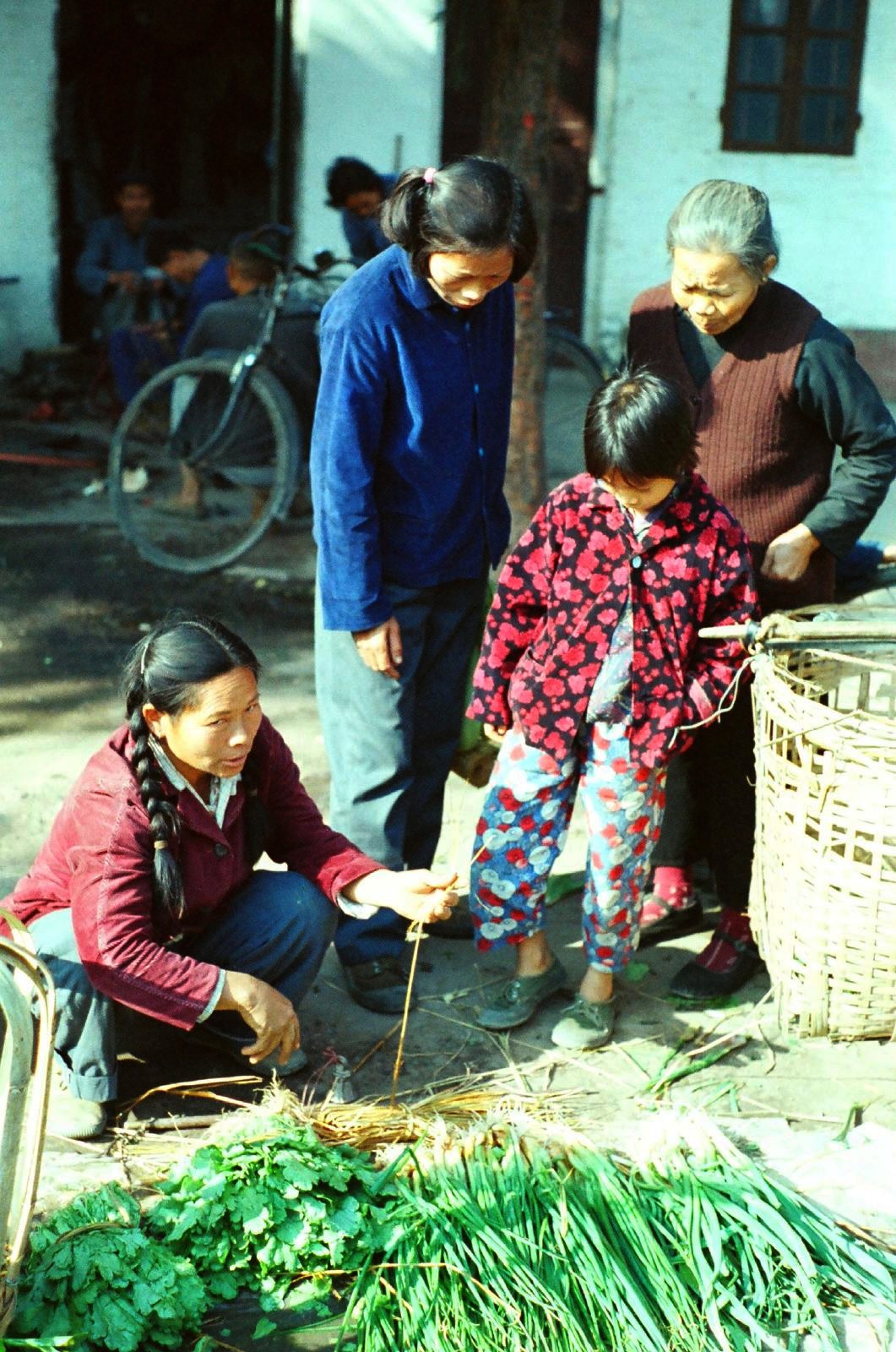 乌鲁木齐市天山区志电子书下载