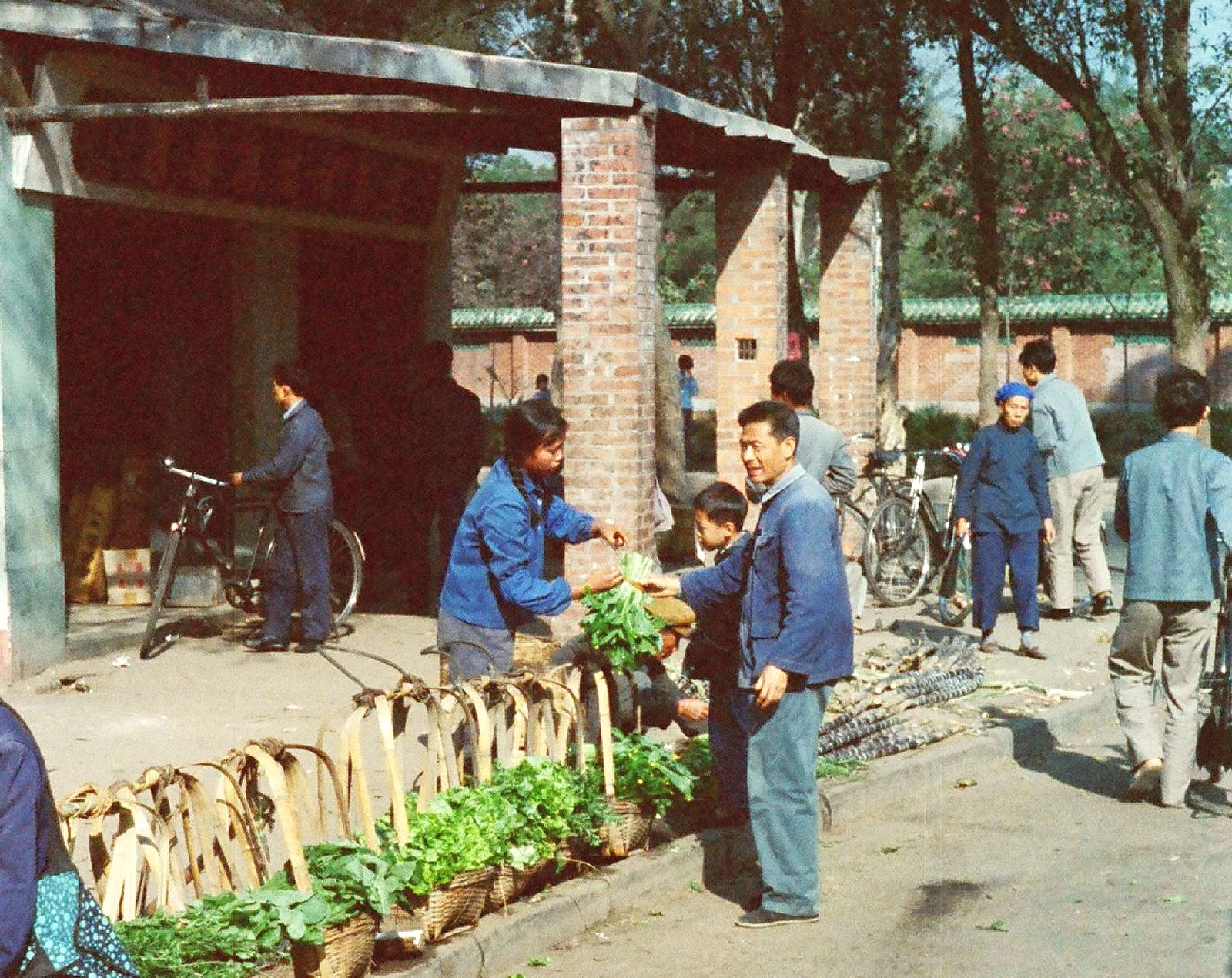 隆昌县志地方志下载