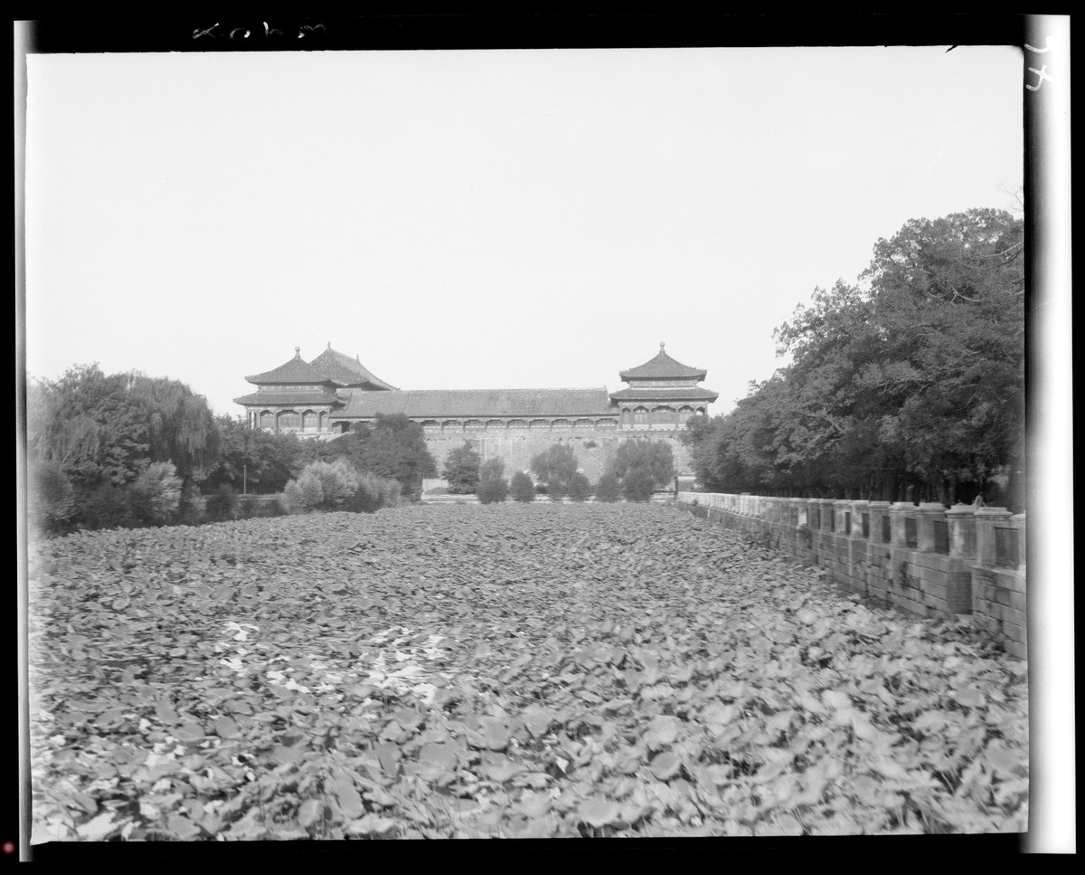 雅江县志地方志下载