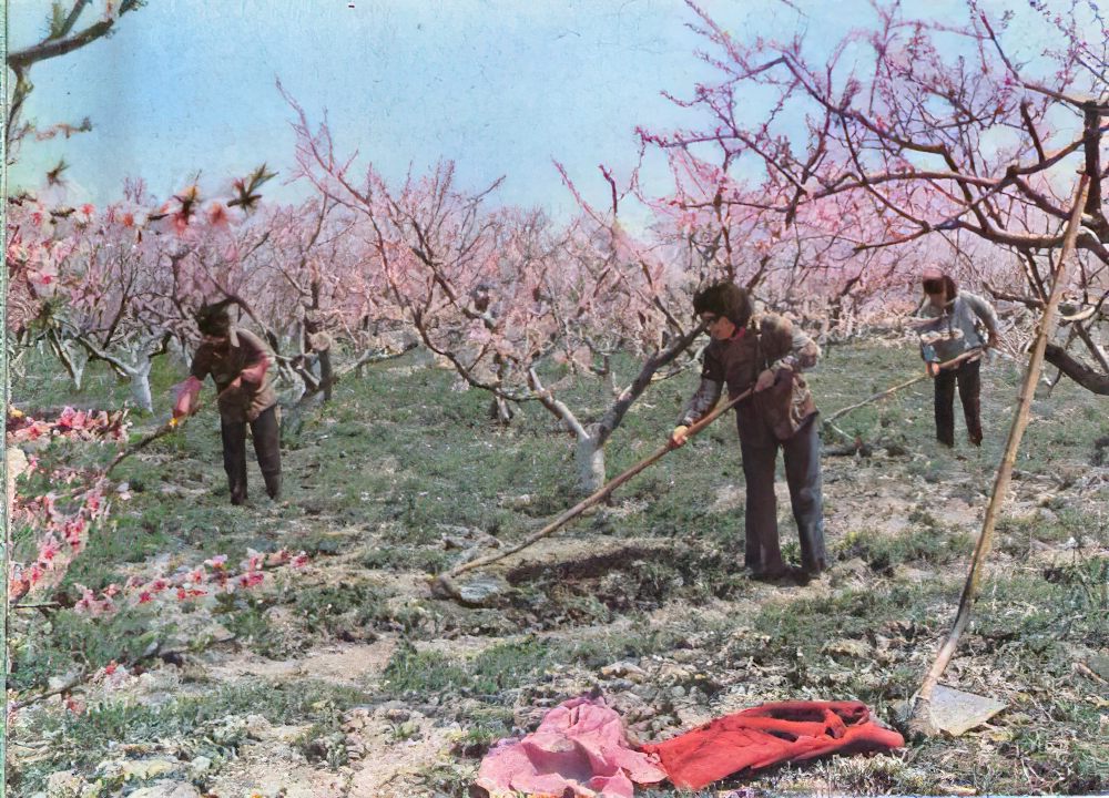 永登县志地方志下载